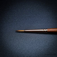 Raphaël Travel Brush "Le Voyageur" – SoftAqua & Precision Series