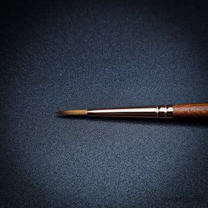 Raphaël Travel Brush "Le Voyageur" – SoftAqua & Precision Series