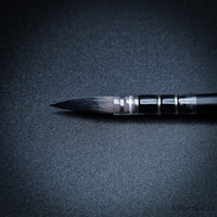 Raphaël Travel Brush "Le Voyageur" – SoftAqua & Precision Series