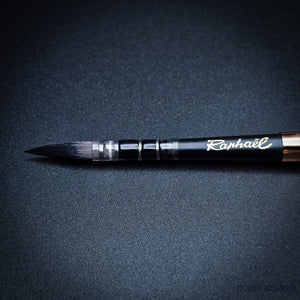 Raphaël Travel Brush "Le Voyageur" – SoftAqua & Precision Series