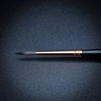 Raphaël Travel Brush "Le Voyageur" – SoftAqua & Precision Series