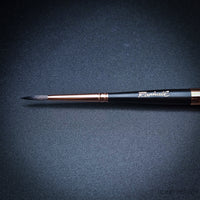 Raphaël Travel Brush "Le Voyageur" – SoftAqua & Precision Series