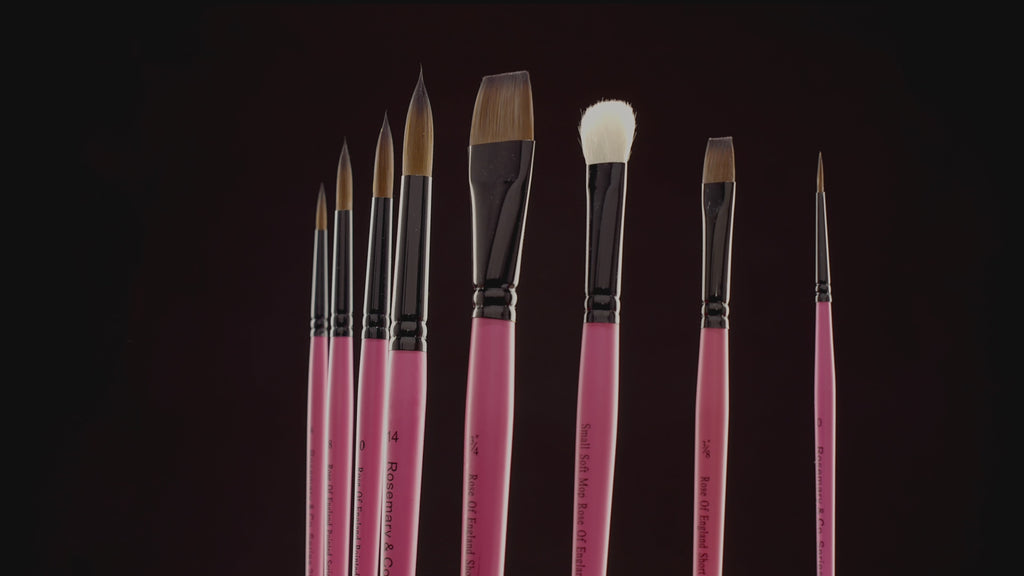 Rosemary & Co Beginner Set 20 — Synthetic