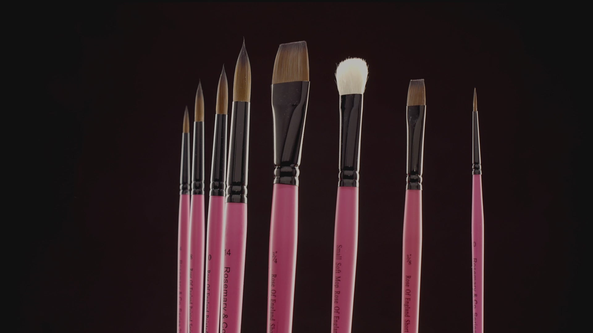Rosemary & Co Beginner Set 20 — Synthetic