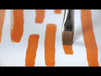 Raphael's own video: Raphael precision imitation martre plat 8534 fr