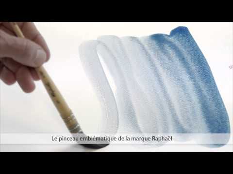 Raphael's own video: Raphael lavis petit-gris 803 fr