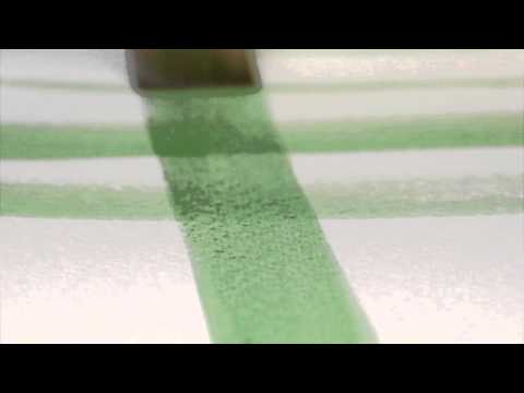 Raphael's own video: Raphael kaerell "s" plat 8796 fr