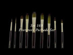 Rosemary & Co's own video: Set 160 Evergreen Pochade by Rosemary & Co