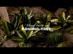 GamersGrass's own video: Tutorial: How-to use BANANA TREE Laser Plant