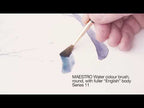 da Vinci's own video: da Vinci MAESTRO Series 11