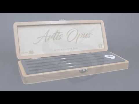 Artis Opus's own video: Artis Opus - Series S Kickstarter Video
