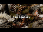GamersGrass's own video: Tutorial: How-to use DRY BRACKEN Laser Plant