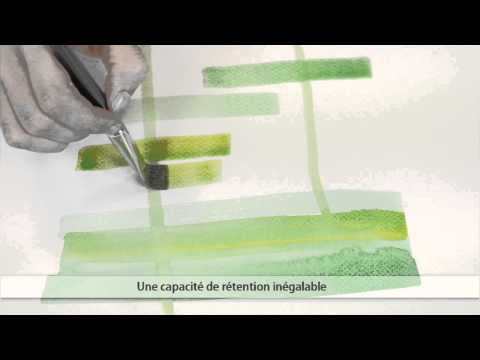 Raphael's own video: Raphael lavis petit gris plat 916 fr
