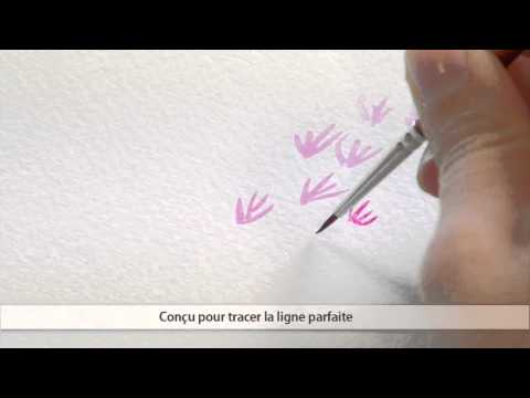 Raphael's own video: Raphael precision imitation martre rond court 8524 fr