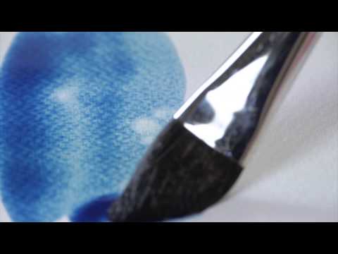 Raphael's own video: Raphael lavis langue de chat 903 fr
