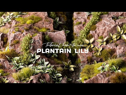 GamersGrass's own video: Tutorial: How-to use PLANTAIN LILY Laser Plant