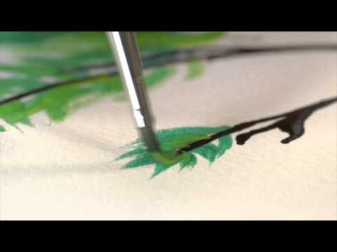 Raphael's own video: Raphael kolinsky pointe ronde et courte 8400 fr