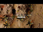 GamersGrass's own video: Tutorial: How-to use AGAVE Laser Plant