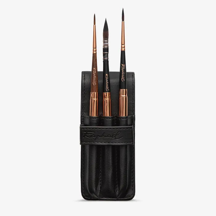 Raphael Le Voyageur artisan watercolour brushes in protective black leather case – front view