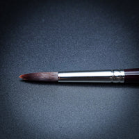 Winsor & Newton Galeria Brush Series – Synthetic Acrylic & Oil Painting Brushes