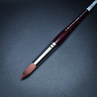 Winsor & Newton Galeria Brush Series – Synthetic Acrylic & Oil Painting Brushes