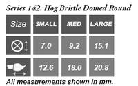 Rosemary & Co Series 142 — Synthetic Domed
