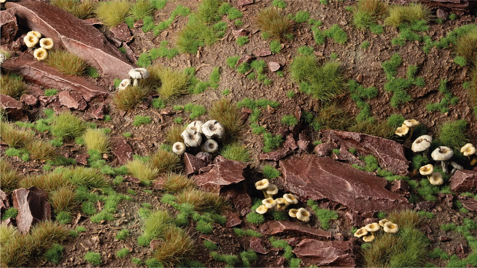 Gamers Grass Tiny Green 1mm tufts applied to woodland terrain diorama with rocks mushrooms and taller grass tufts