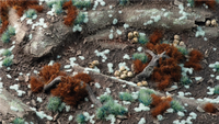 Gamers Grass Tiny Pale Teal 1mm tufts scattered on dark earth diorama terrain with contrasting brown tufts and woodland debris
