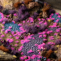 Fantastical diorama featuring Tiny Tufts Alien Neon, showcasing a surreal alien landscape or magical realm with glowing blue and pink micro-flor
