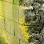 Vallejo Moss and Lichen Effect Weathering Effects VAL73827 - Hobby Heaven
