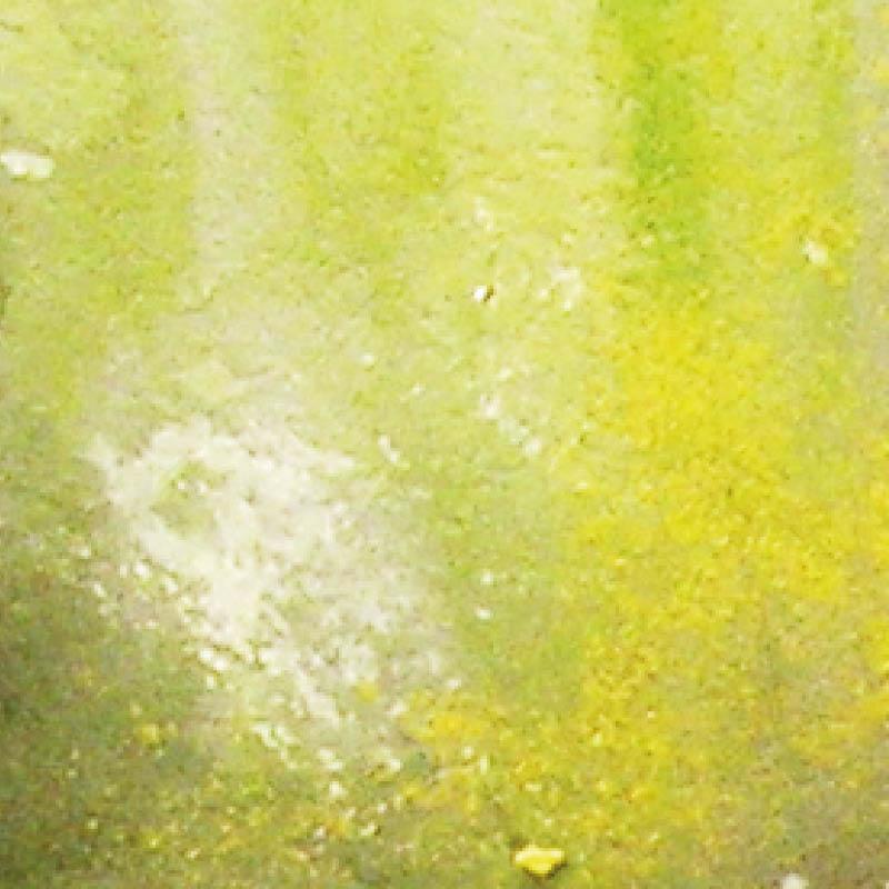 Vallejo Slimy Grime Light Weathering Effects VAL73823 - Hobby Heaven