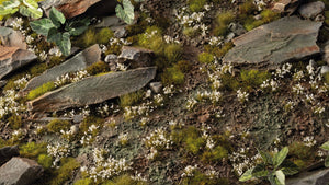White Lily Tiny Flowers tufts used in a scenic diorama with rocks and greenery for scale models