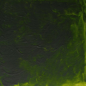Winsor & Newton Griffin Alkyd Permament Sap Green Colour 37ml Tube - Hobby Heaven