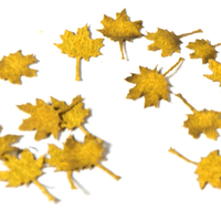 AK Interactive Vegetation - Realistic Leaves Full Range - Hobby Heaven