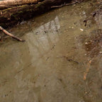 AK Interactive Water Gel Swamp Green 250ml Diorama Effects - Hobby Heaven
