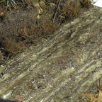 AK Interactive Wet Ground 250ml (Acrylic) Diorama Effects - Hobby Heaven