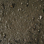 AK Interactive Wet Ground 250ml (Acrylic) Diorama Effects - Hobby Heaven