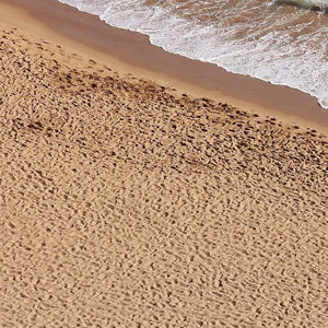 AK Interactive Terrains Beach Sand 250ml (Acrylic) Diorama Effects - Hobby Heaven