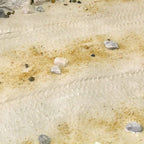 AK Interactive Terrains Desert Sand 250ml (Acrylic) Diorama Effects - Hobby Heaven