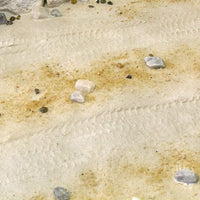 AK Interactive Terrains Desert Sand 250ml (Acrylic) Diorama Effects - Hobby Heaven