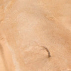 AK Interactive Terrains Sandy Desert 250ml (Acrylic) Diorama Effects - Hobby Heaven