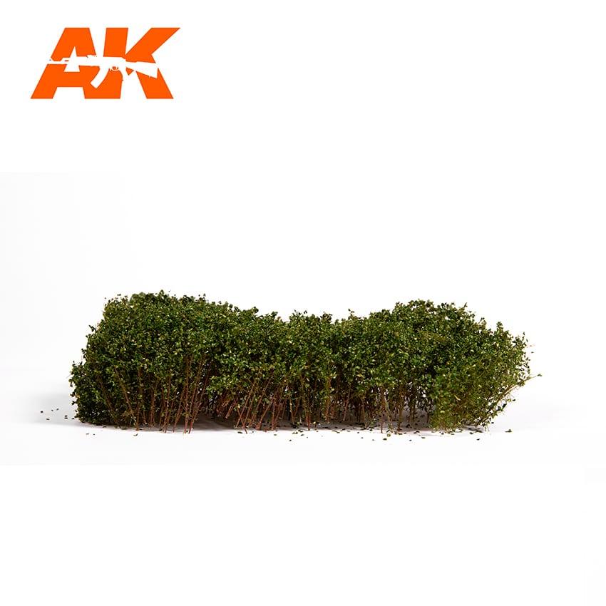 Summer Green shrubberies out of the pack on white, mid-green canopy raised on bare woody trunks
