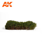 Summer Green shrubberies out of the pack on white, mid-green canopy raised on bare woody trunks
