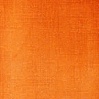 Liquitex Transparent Burnt Sienna Acrylic Ink 30ml - Hobby Heaven