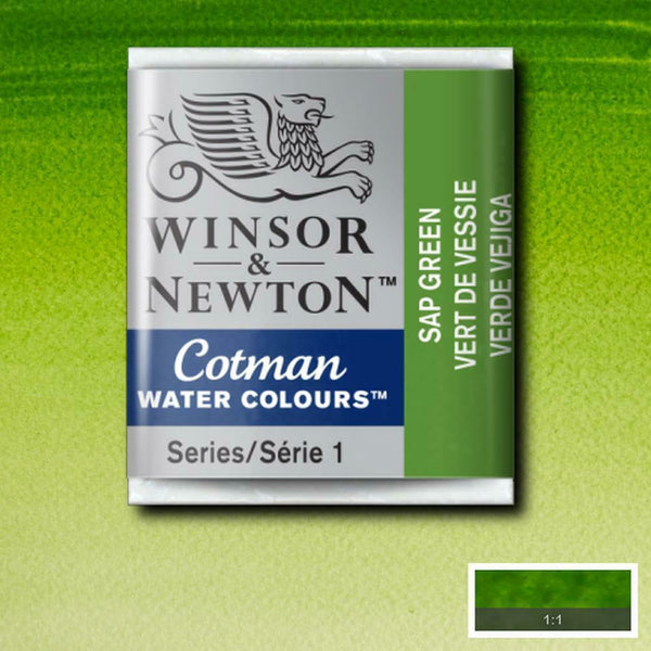 Winsor & Newton Half Pan Sap Green Cotman Watercolour - Hobby Heaven